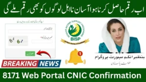 8171 Web Portal CNIC Confirmation 2026 –How to Check BISP 13500 Payments Online (Complete Guide)