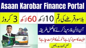 AKF Punjab Gov PK Login – Complete Guide to Asaan Karobar Finance Portal 2026