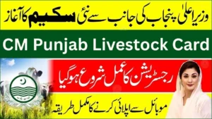 CM Punjab Livestock Card 2026 – Registration Process, Eligibility & Loan Amount