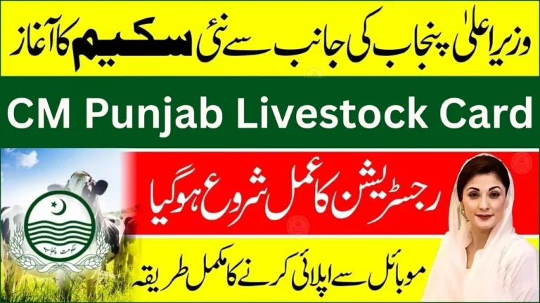 CM Punjab Livestock Card 2026 – Registration Process, Eligibility & Loan Amount